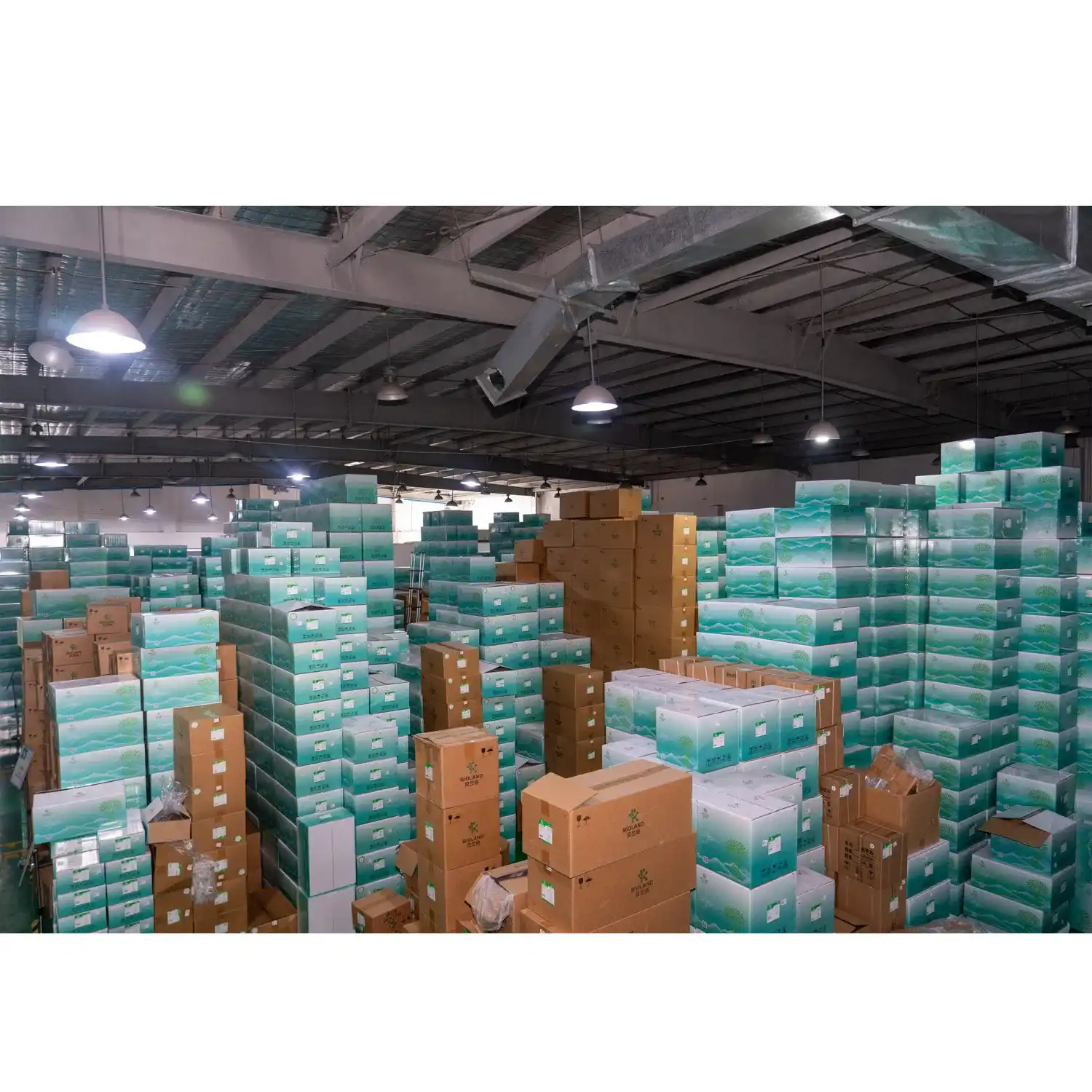 Global Shipping and Support